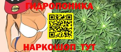 прущая мука Шелехов