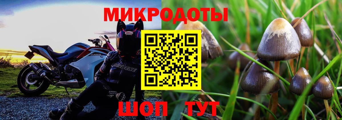 Галлюциногенные грибы мицелий Можайск